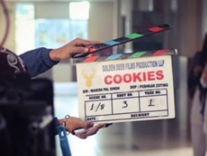 Aneri in the web series Cookies