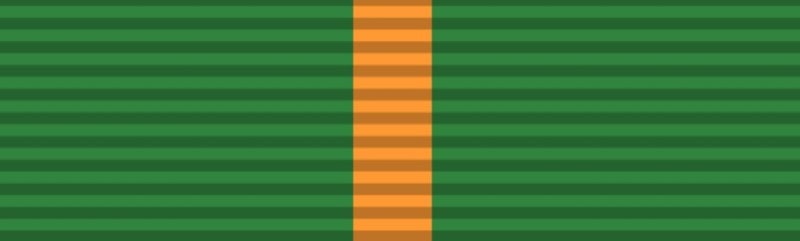 Ashok Chakra medal's ribbon