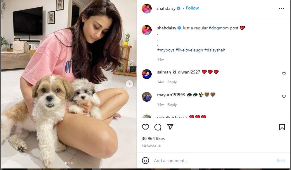 Daisy Shah shared an Instagram post about her pet dogs, Theo and Miko