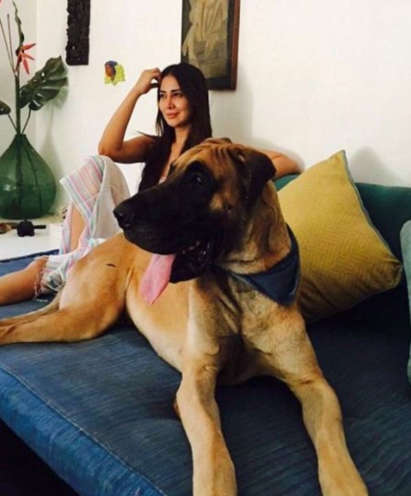 Kim Sharma with a dog
