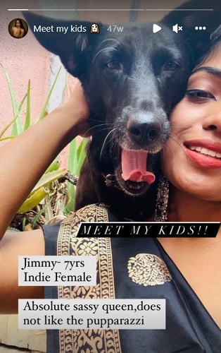 Nimisha PS’ Instagram highlights about her pet dogs