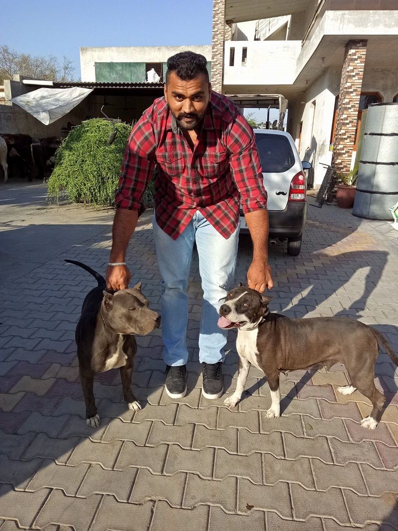 Tajinderpal Singh Toor posing with dogs