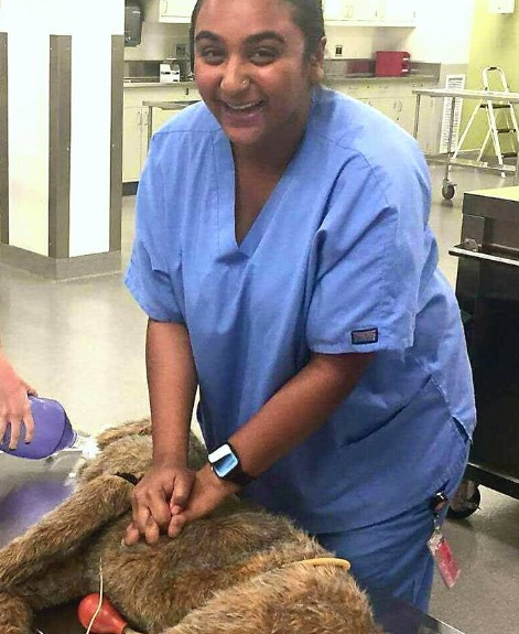 Rashi Gupta while treating an animal