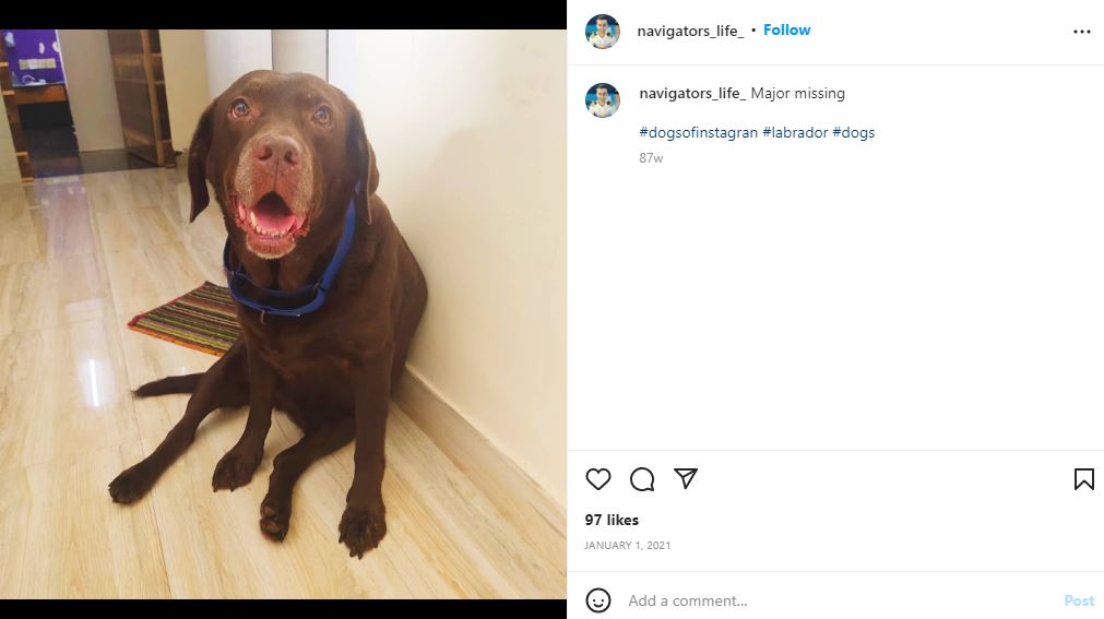 Chirag Batliwalla's Instagram post about his pet dog