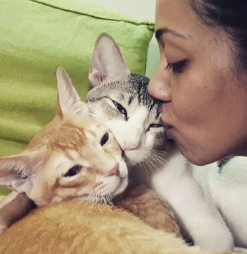 Neha Joshi with her pet cats