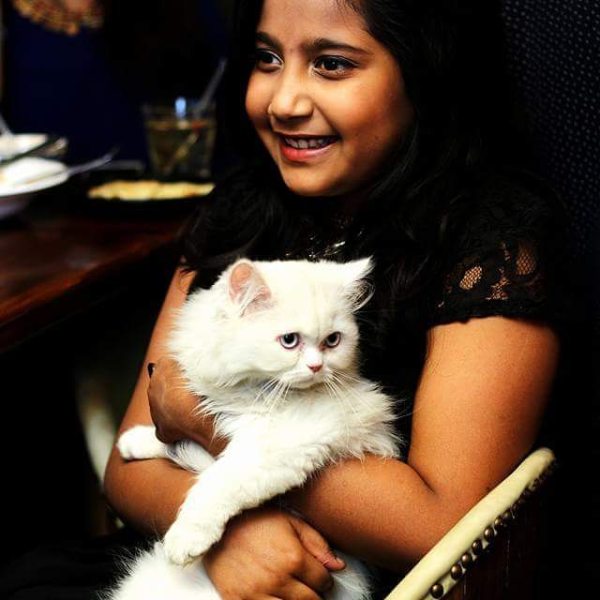 A picture of Shreya Basu with a Turkish Angora, a Persian cat