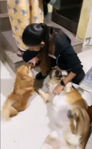 Akashlina Chandra with her pet dogs
