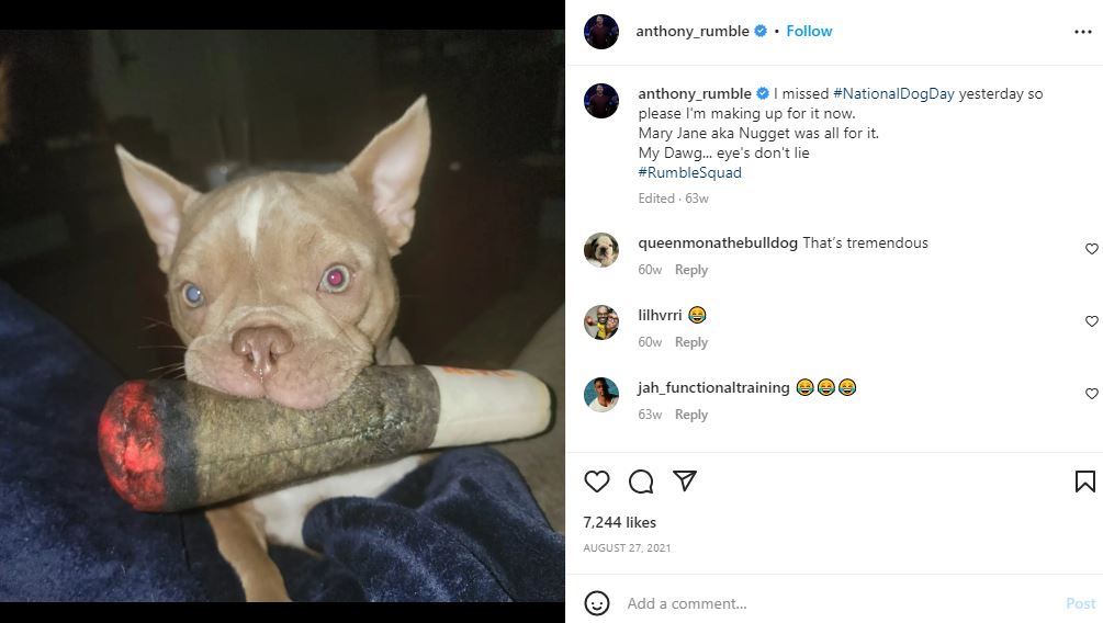 Anthony Rumble Johnson's Instagram post about his pet dog, Nugget