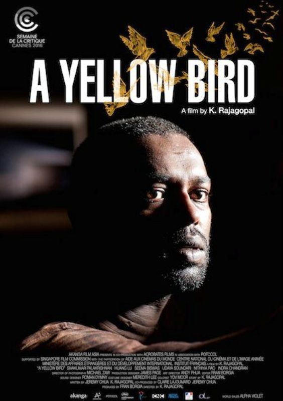 A poster of the film A Yellow Bird (2016)