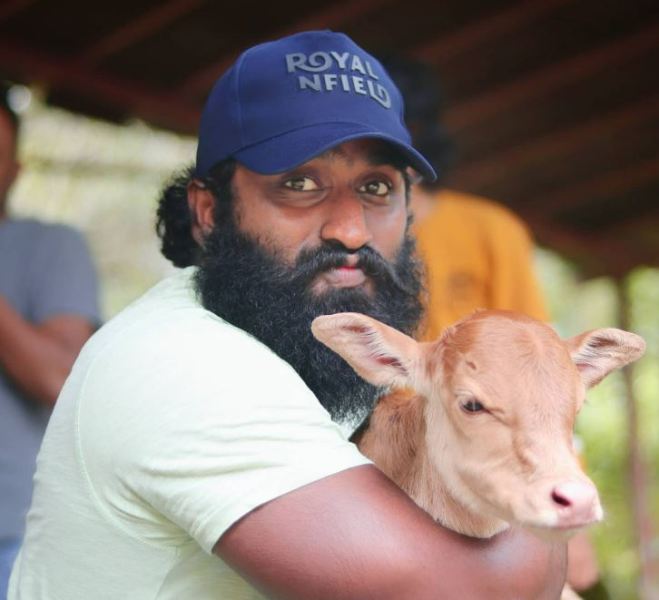 Rakshith Shetty's picture with a calf