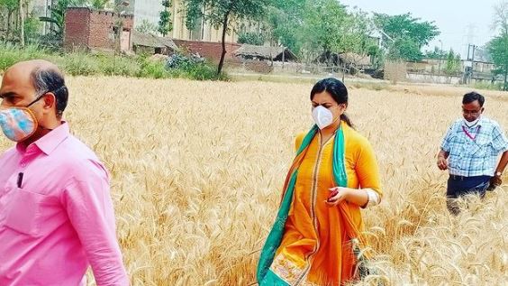 Divya Mittal during the inspection of wheat crop in UP