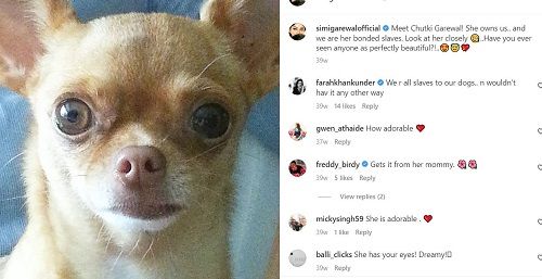Simi Garewal's Instagram post about her dog
