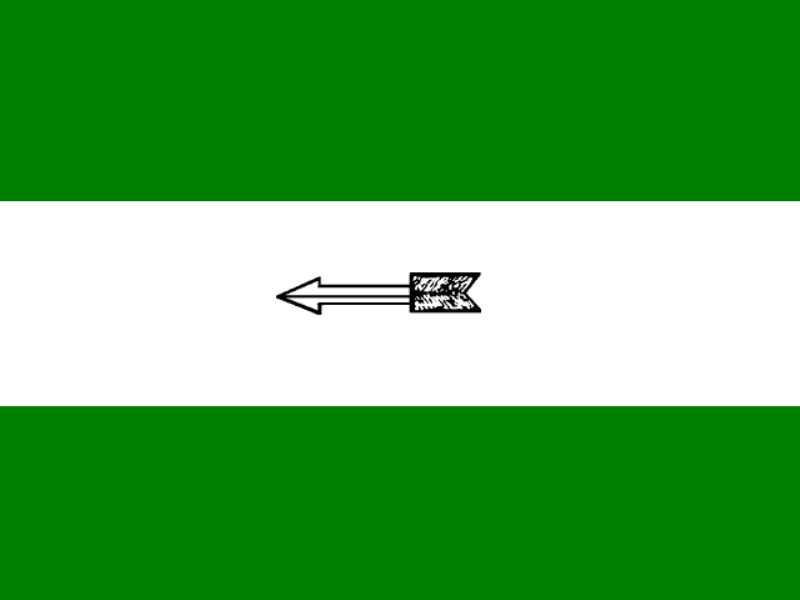  Janata Dal (United) flag