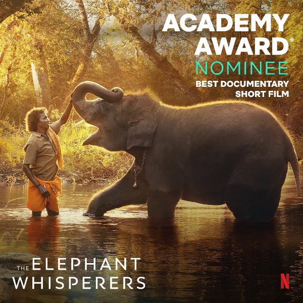 A poster of The Elephant Whisperers