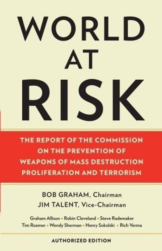Cover of the 2008 book 'World At Risk'
