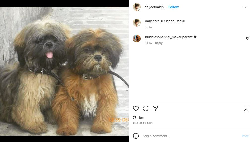 Daljeet Singh Kalsi's Instagram post about his pet dogs