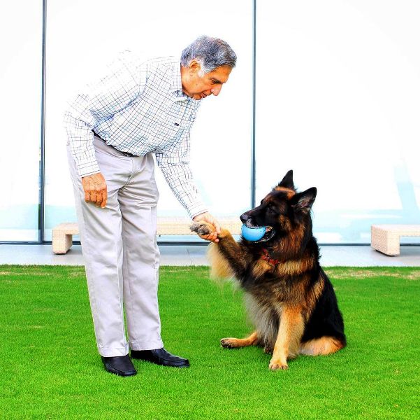A photo of Ratan Tata with his pet German Shepherd Tito