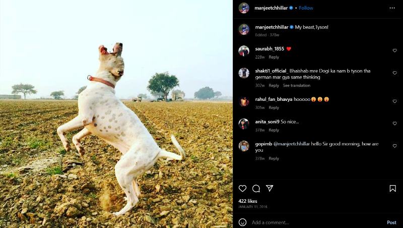 A snip of Manjeet Chhillar's Instagram post about his dog