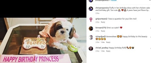 Chrisann Pereira's Instagram post about her dog