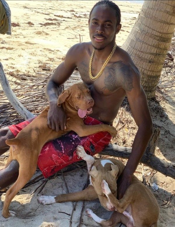 Jofra Archer playing with his dogs