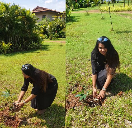 Saranya Anand planting trees