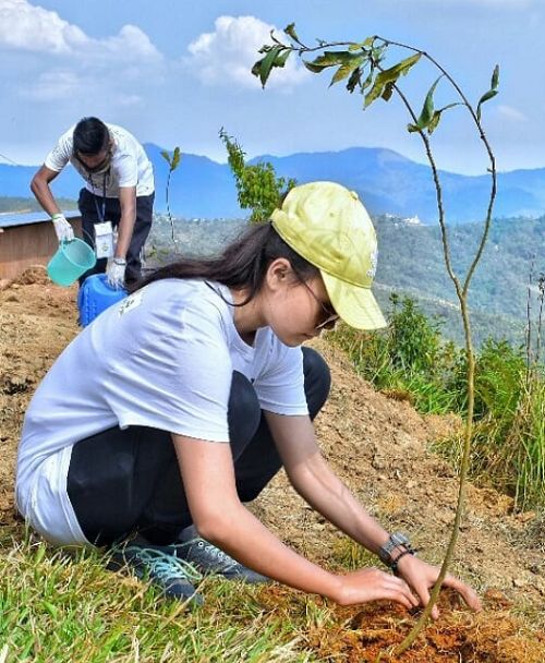 Strela Thounaojam Luwang planting trees