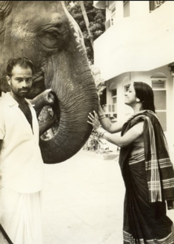 A photo of Padma Subrahmanyam with a elephant at a temple premise