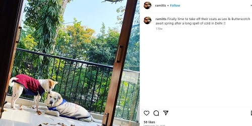 A picture of Rahul Mittra's Instagram post for his pet dogs