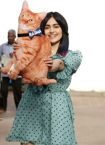 Adah Sharma with her pillow cat