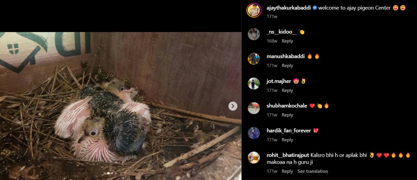 Ajay often showcases his love for animals on his social media channels