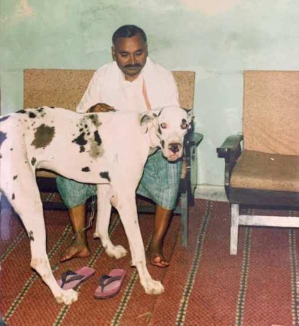 Hari Shankar Tiwari playing with a dog