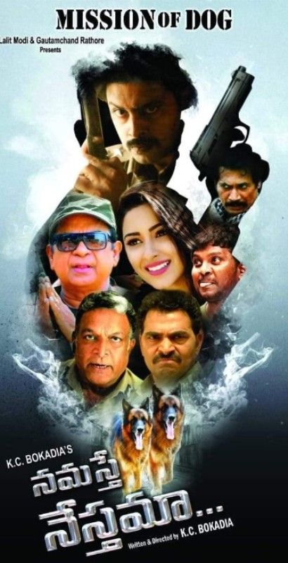 Poster of the film Namaste Nestama, starring Eshanya Maheshwari