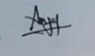 Anju's (Pakistan) signature