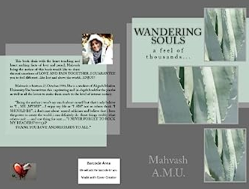 Cover of RJ Mahvash's book, Wandering Souls