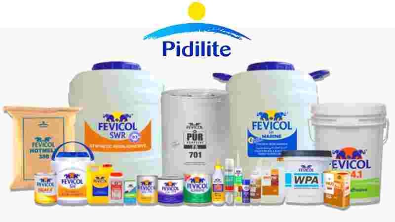 Pidilite Industries Products