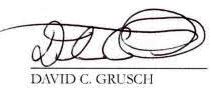 Signature of David Grusch