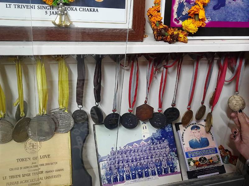 A picture of the martial arts medals won by Triveni