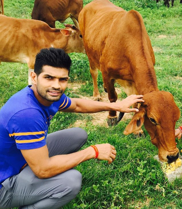 Deepak Niwas Hooda feeding the cows