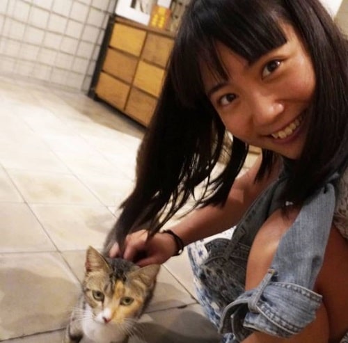 Mayo Japan with a cat