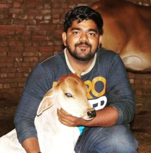 Monu Manesar with a rescued cow