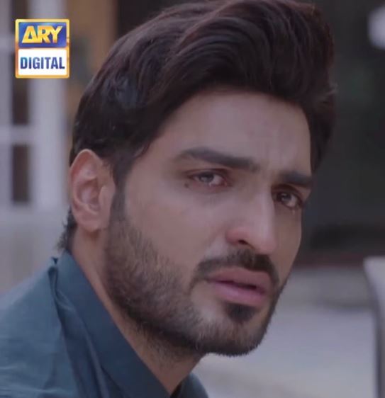 Omer Shahzad as Hassan in Bharaas