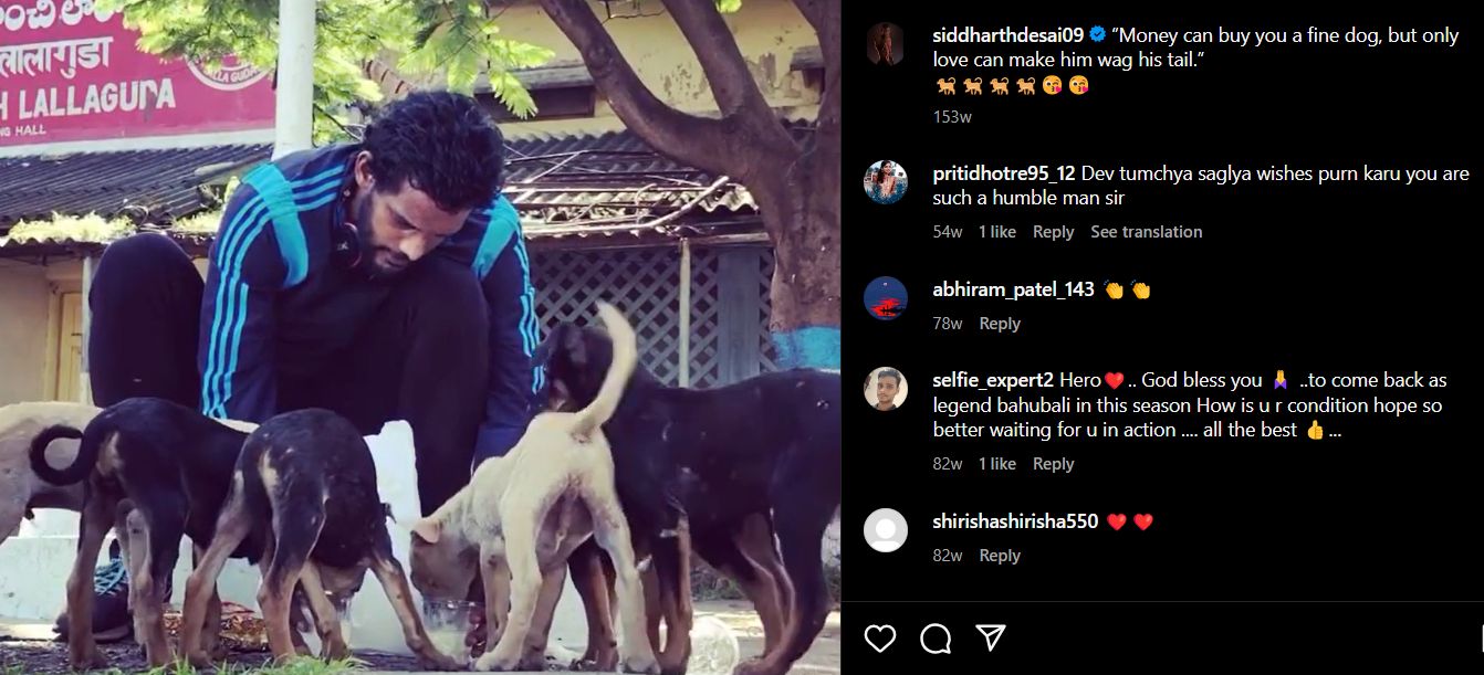 Siddharth's post about feeding stray dogs