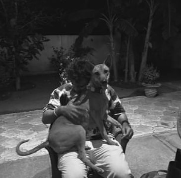 Ashok Selvan with his pet dog, Gold