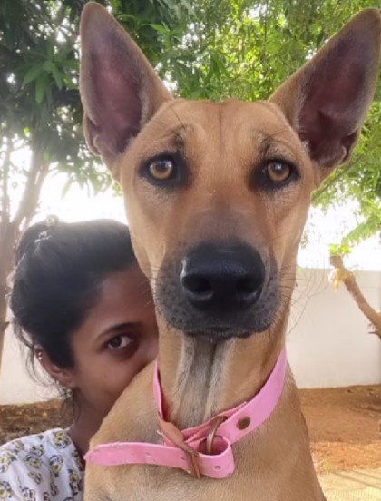 Keerthi Pandian posing with her pet dog