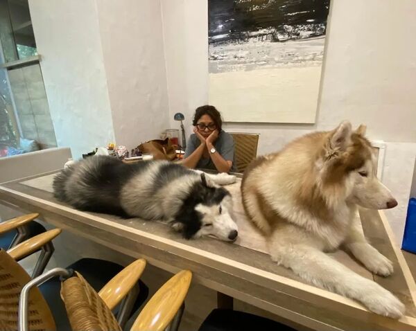 Shefali Shah with her pet dogs at home
