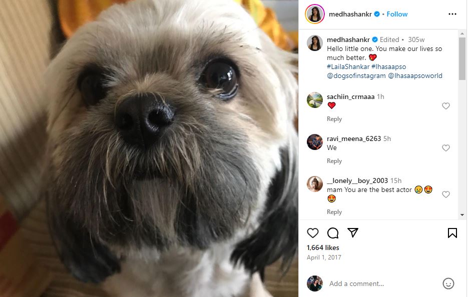 A snip of Medha Shankar's Instagram post about her dog, Laila Shankar