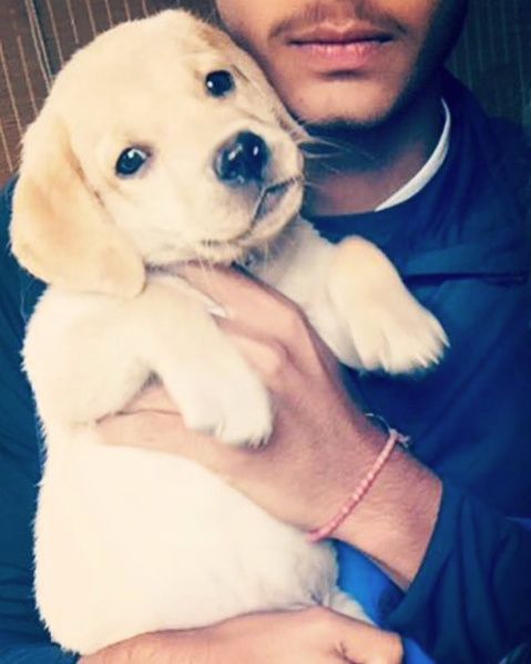 Anantjeet with his pet dog Brut
