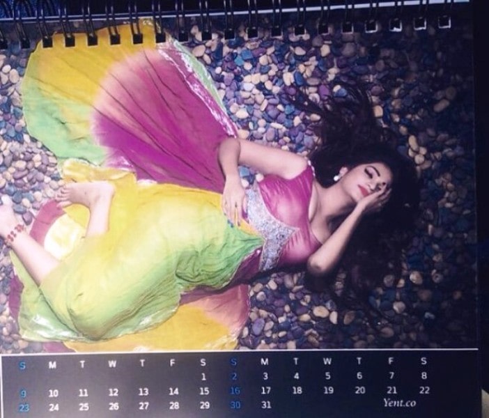 Ashwini on the 2015 calendar of Yent.co