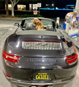 Fahim Fazli's pet dog posing in Porsche