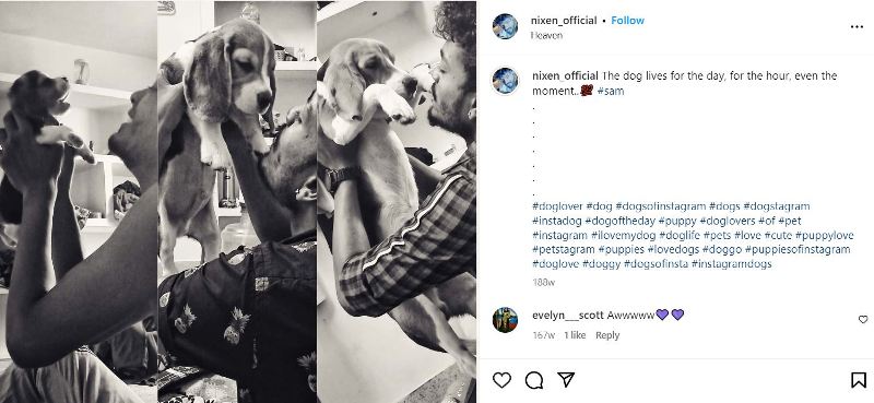 Nixen's Instagram post about dogs